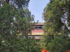 -北京艺术博物馆(万寿寺)