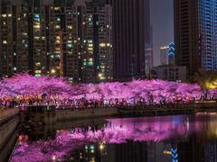 -西北湖绿化广场
