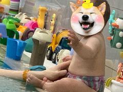 -BlueBubble蓝泡泡婴幼儿游泳会所(合川路店)