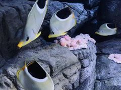 -成都浩海立方海洋公园