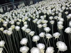 -爱来魔相4D艺术馆(济州中文馆)