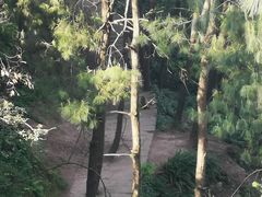 -重庆雨台山风景区