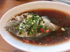 -洲晓鲜·舟山海鲜大排档(朱家尖风景区店)