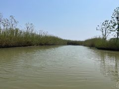 -泗洪洪泽湖湿地景区