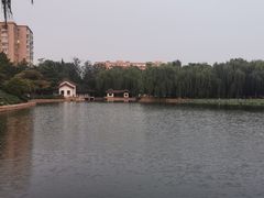 -团结湖公园