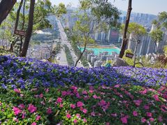 -板樟山森林公园