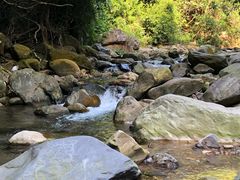 -羚羊峡古栈道森林公园