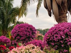 -华南国家植物园-售票处