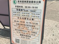 -西双版纳原始森林公园