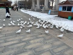 -天津妈祖文化园