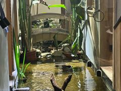 -邈墨茶馆(凤起路店)