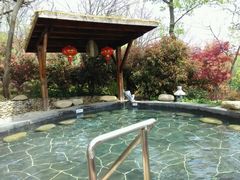 picture-南京汤山紫清湖生态旅游温泉度假区