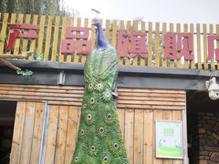 -沈阳鸟岛