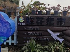 -空港花田景区