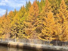 -苏木山森林公园