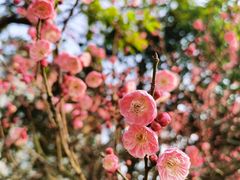 -钱塘江