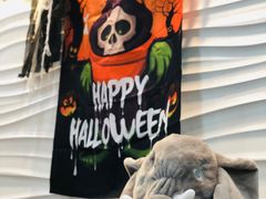 -金砾教育培训(宝山校区)