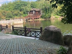 -白马涧龙池景区