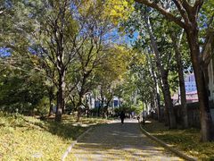-丰台花园