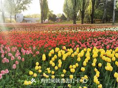 -国家植物园