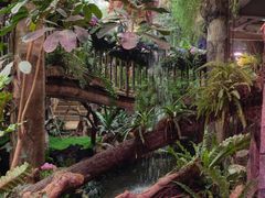 -正佳雨林生态植物园