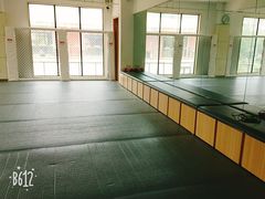 -EFL巴西柔术·综合格斗·泰拳·少儿体能训练(虹桥德必馆)