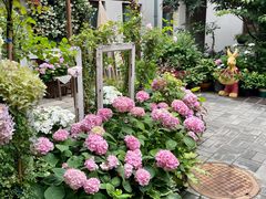 -麦当劳(中山路店)