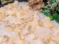 海螺片-官也街澳门火锅(新源里店)