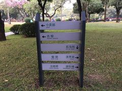 -晓港公园