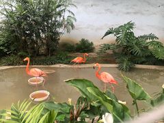 -成都动物园