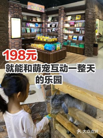 198元就能和萌宠互动一整天的乐园