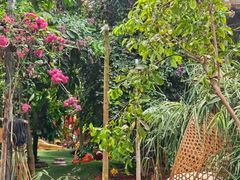 -呀路古热带植物园