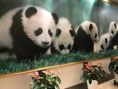 -成都驻京办餐厅(蜀都宾馆店)