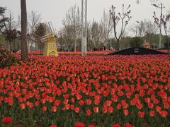 -廊坊文化艺术中心