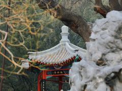 -国家植物园