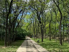 -元大都城垣遗址公园