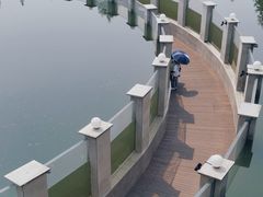 -眉山湿地公园(东坡区)