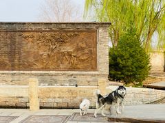 -三里河公园