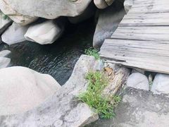 -碓臼峪自然风景区