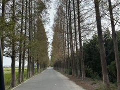 -嘉北郊野公园