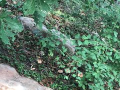 -沈阳辉山风景区