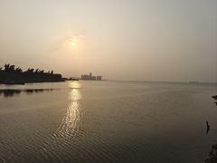 -万绿园