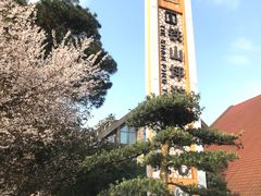 -铁山坪森林公园