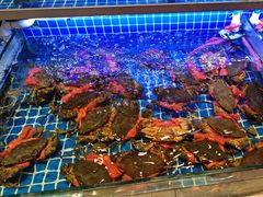 -阿明小菜·海鲜·上海菜(梅陇华理店)