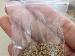 -老王豆皮