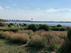 -丁香湖公园