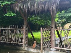 -兰亭风景区