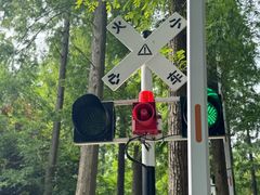 -黄海国家森林公园