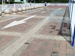 -天津市人民医院-停车场