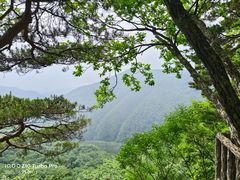 -五女峰国家森林公园